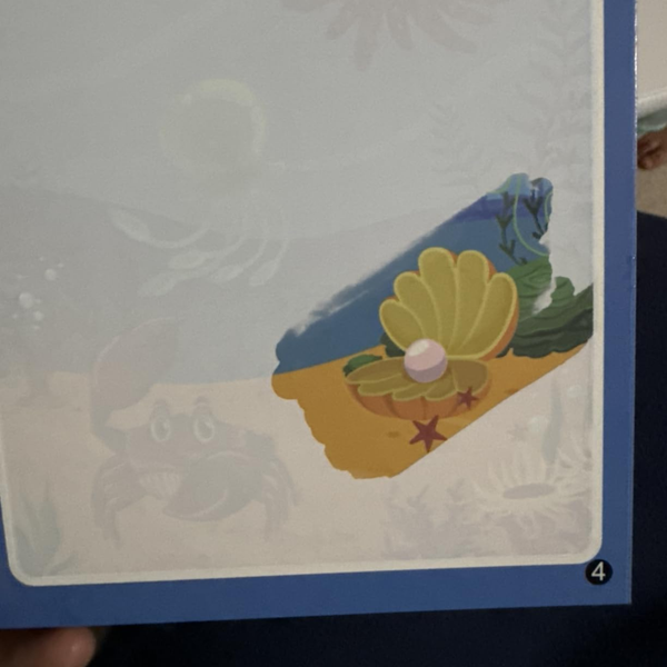 Customer photo